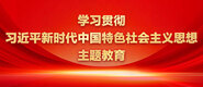 鸡巴捅喷你骚b视频学习贯彻习近平新时代中国特色社会主义思想主题教育_fororder_ad-371X160(2)